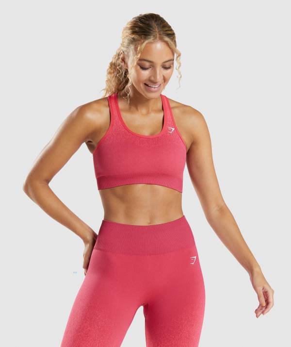 Damske Športové Podprsenky Gymshark Adapt Ombre Seamless Červené Ruzove | HB1872059